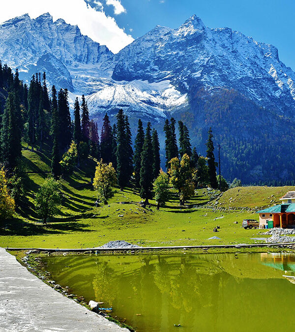 JAMMU