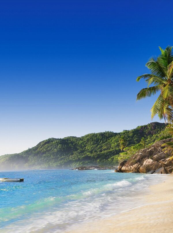 fringed beach